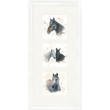 Load image into Gallery viewer, The Equines