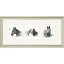 Load image into Gallery viewer, The Equines