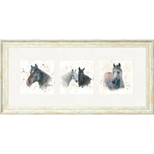 Load image into Gallery viewer, The Equines
