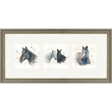 Load image into Gallery viewer, The Equines