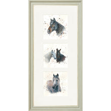 Load image into Gallery viewer, The Equines