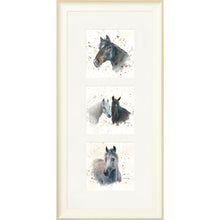 Load image into Gallery viewer, The Equines