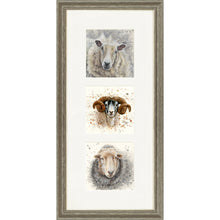 Load image into Gallery viewer, The Flock