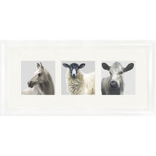 Load image into Gallery viewer, The Greys
