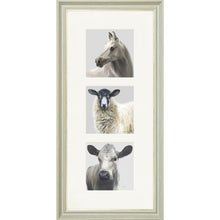 Load image into Gallery viewer, The Greys