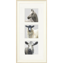 Load image into Gallery viewer, The Greys