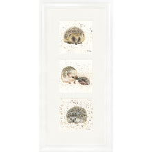 Load image into Gallery viewer, The Hedgies