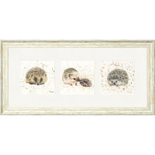 Load image into Gallery viewer, The Hedgies