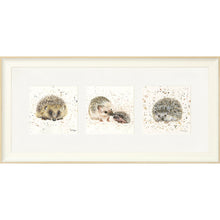 Load image into Gallery viewer, The Hedgies