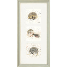 Load image into Gallery viewer, The Hedgies