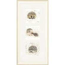 Load image into Gallery viewer, The Hedgies