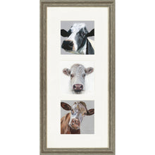 Load image into Gallery viewer, The Herd