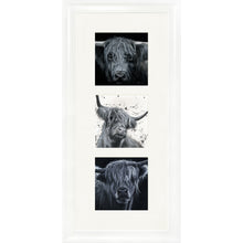 Load image into Gallery viewer, The Highlanders