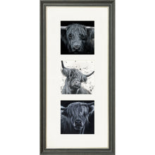 Load image into Gallery viewer, The Highlanders