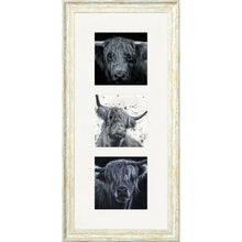 Load image into Gallery viewer, The Highlanders