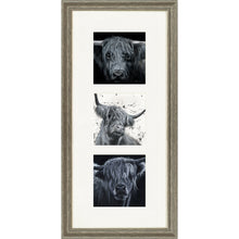 Load image into Gallery viewer, The Highlanders