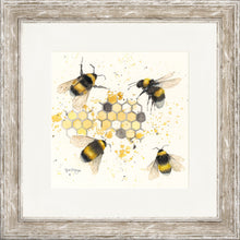 Load image into Gallery viewer, The Pollinators