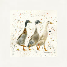 Load image into Gallery viewer, The Three Duckgrees