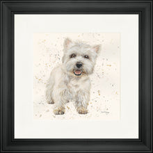 Load image into Gallery viewer, Wallace