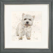 Load image into Gallery viewer, Wallace