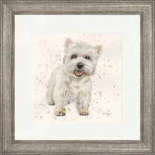 Load image into Gallery viewer, Wallace