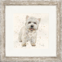 Load image into Gallery viewer, Wallace