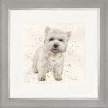 Load image into Gallery viewer, Wallace