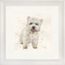 Load image into Gallery viewer, Wallace
