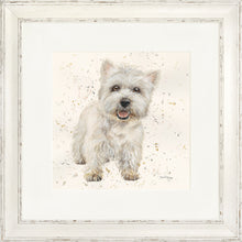 Load image into Gallery viewer, Wallace