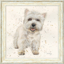 Load image into Gallery viewer, Wallace