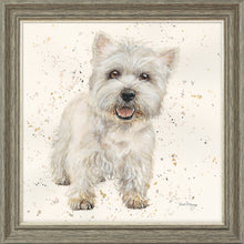 Load image into Gallery viewer, Wallace