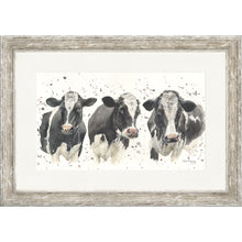 Load image into Gallery viewer, We Are Not Amoosed