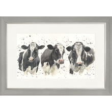 Load image into Gallery viewer, We Are Not Amoosed