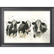 Load image into Gallery viewer, We Are Not Amoosed