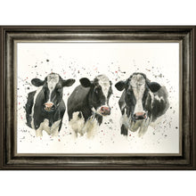 Load image into Gallery viewer, We Are Not Amoosed