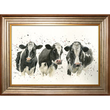 Load image into Gallery viewer, We Are Not Amoosed