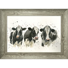 Load image into Gallery viewer, We Are Not Amoosed