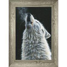 Load image into Gallery viewer, Wilbur