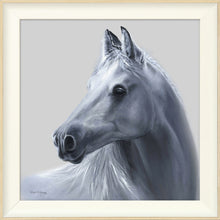 Load image into Gallery viewer, Willow
