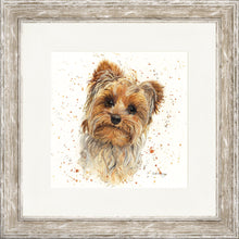 Load image into Gallery viewer, Yolanda