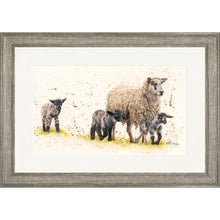 Load image into Gallery viewer, Behind Ewe