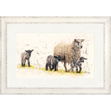 Load image into Gallery viewer, Behind Ewe