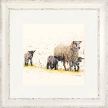 Load image into Gallery viewer, Behind Ewe