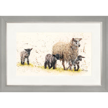 Load image into Gallery viewer, Behind Ewe