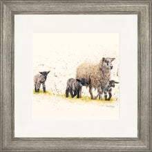 Load image into Gallery viewer, Behind Ewe