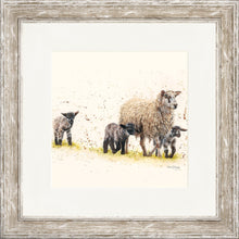 Load image into Gallery viewer, Behind Ewe