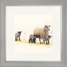 Load image into Gallery viewer, Behind Ewe