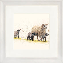 Load image into Gallery viewer, Behind Ewe