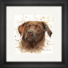 Load image into Gallery viewer, Cooper