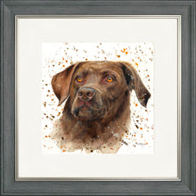 Load image into Gallery viewer, Cooper
